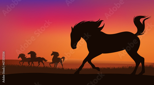mustang horse running at sunset © Cattallina