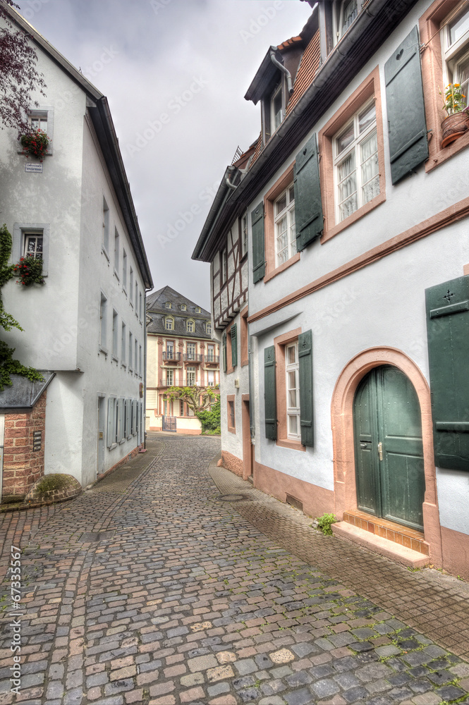 Old Street in Heidelberg, Germany