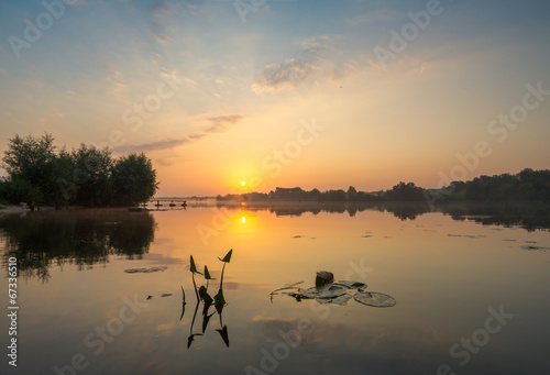 Ciepły letni oiranek nad rzeką Odrą