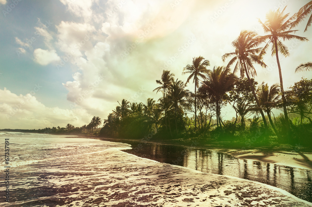 Obraz premium Tropical beach