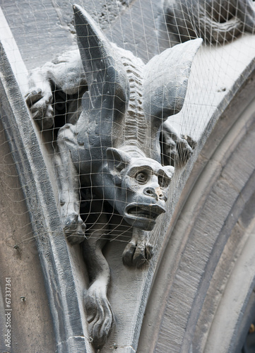 Obraz na płótnie Gothic gargoyle