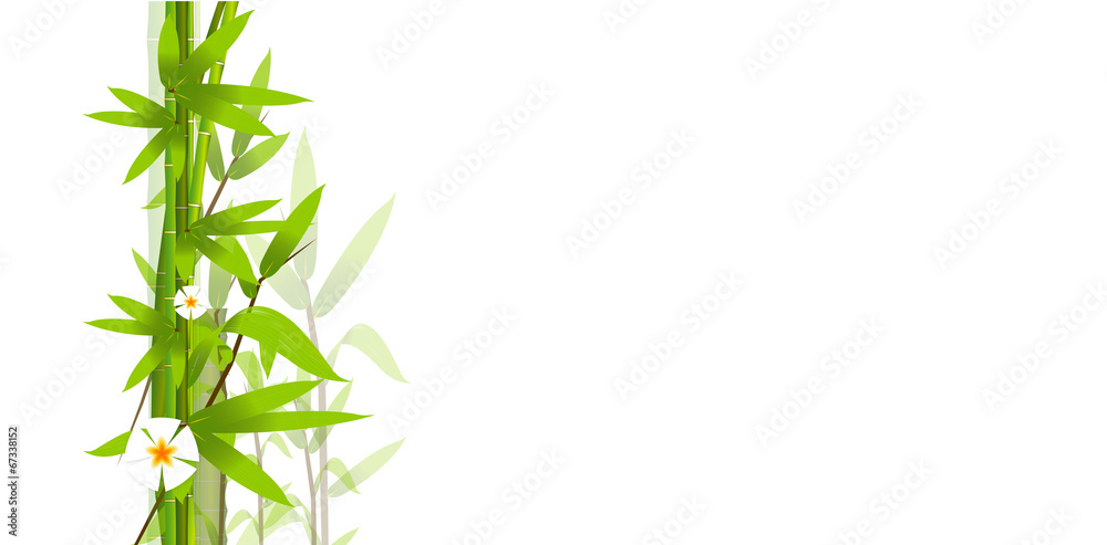 Fototapeta premium bambù, composizione, foglie
