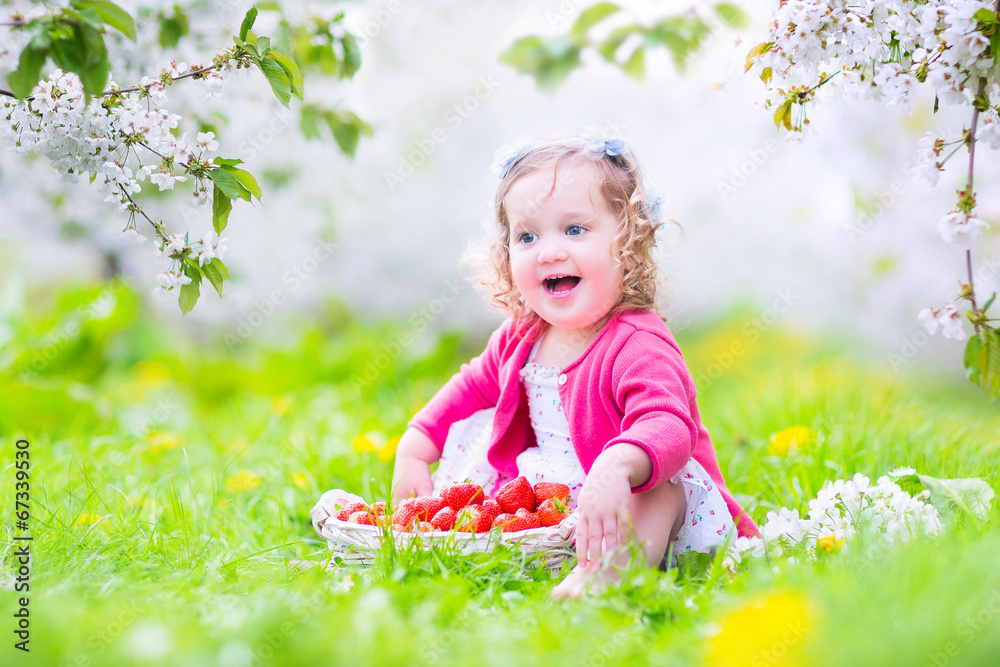 Little toddler girl eating strawberry in blooming applr garden Little toddler girl eating strawberry in blooming applr garden