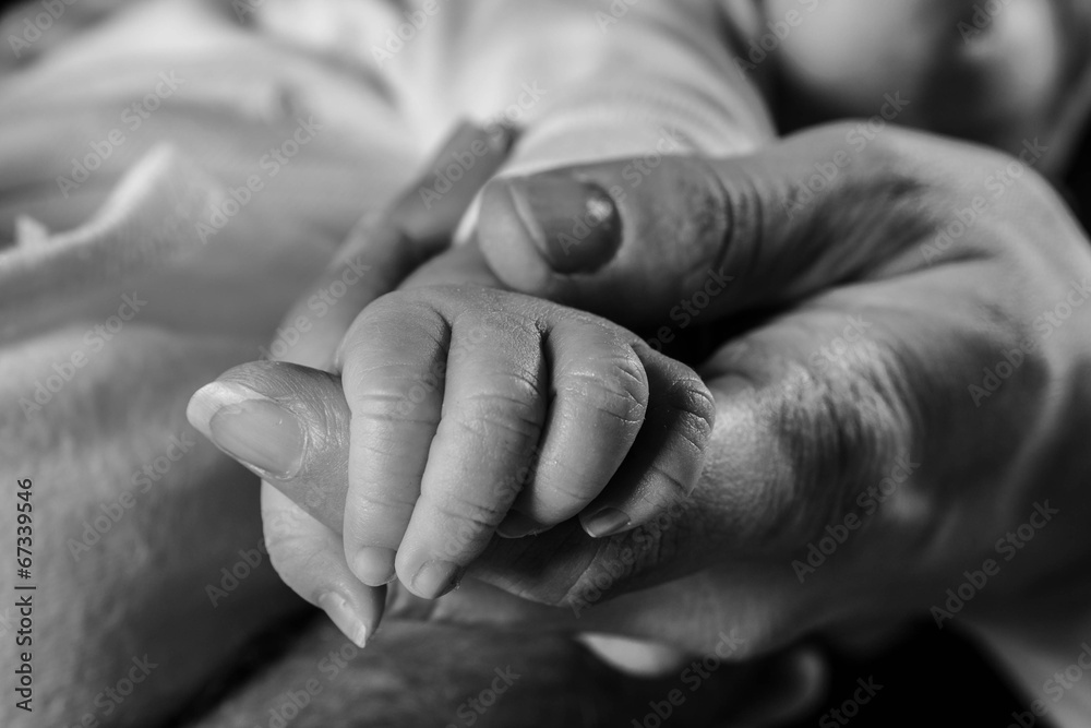 main de bébé main de bébé