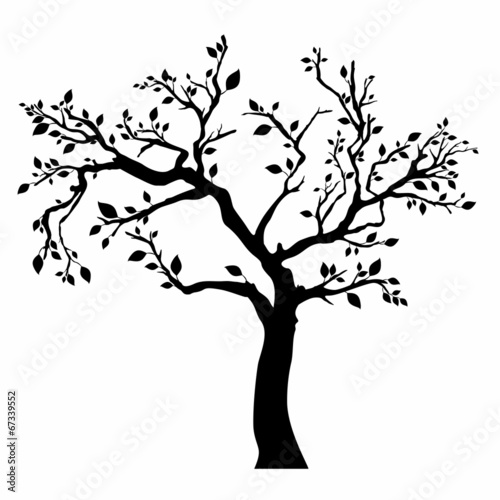 Tree silhouette with leaves on white background.