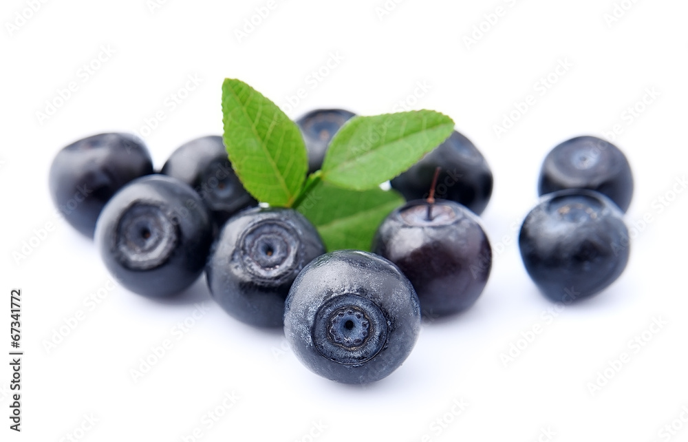 Blueberries with leaves Blueberries with leaves