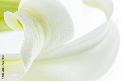 Fototapeta Naklejka Na Ścianę i Meble -  Beauty in nature