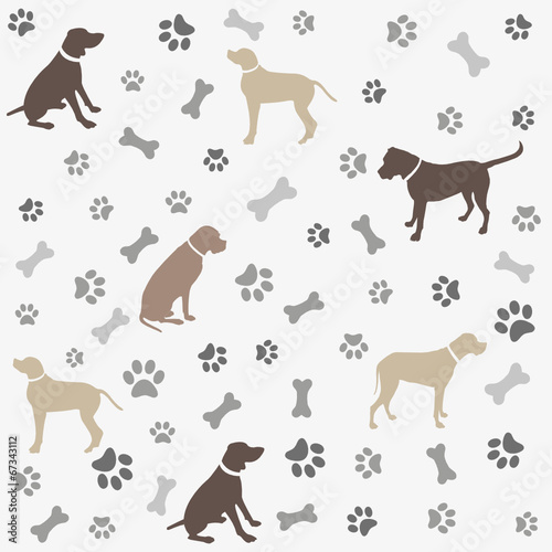 Background with dogs paw print and bone
