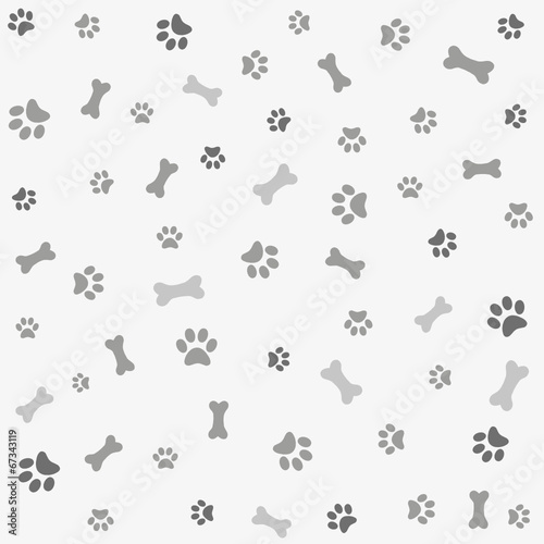 Background with dog paw print and bone photo