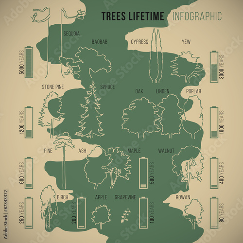 Treeinfographic