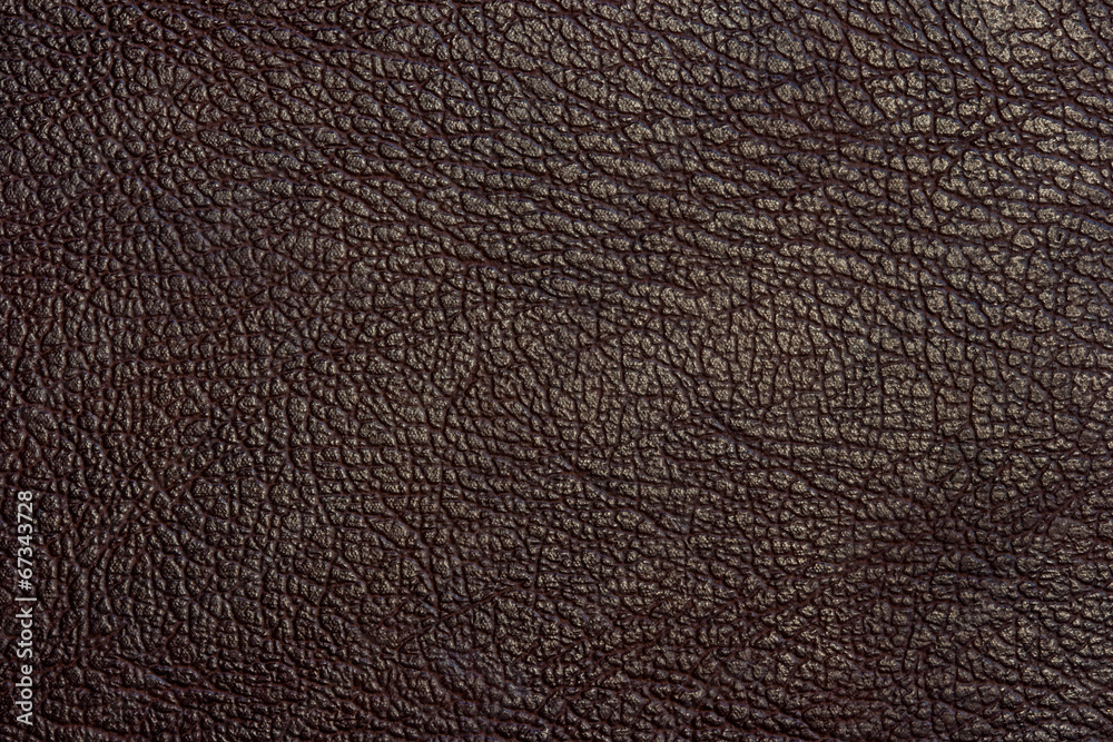 Texture of leather Texture of leather