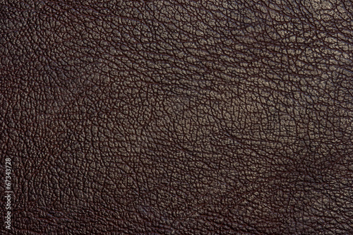 Texture of leather