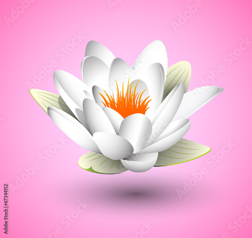 fiore di loro, sfondo rosa, sospeso