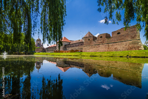 Medieval castle and it s water reflection  Fagaras  Romania