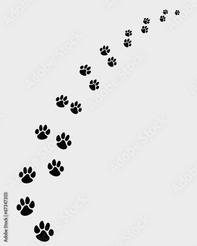 Fototapeta Naklejka Na Ścianę i Meble -  Black footprints of dogs, turn right -vector illustration