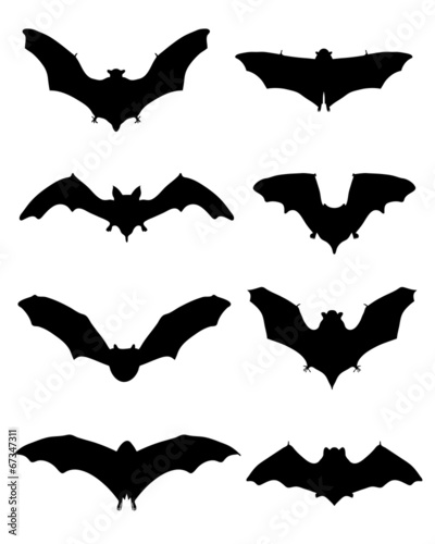 Black silhouettes of bats, vector