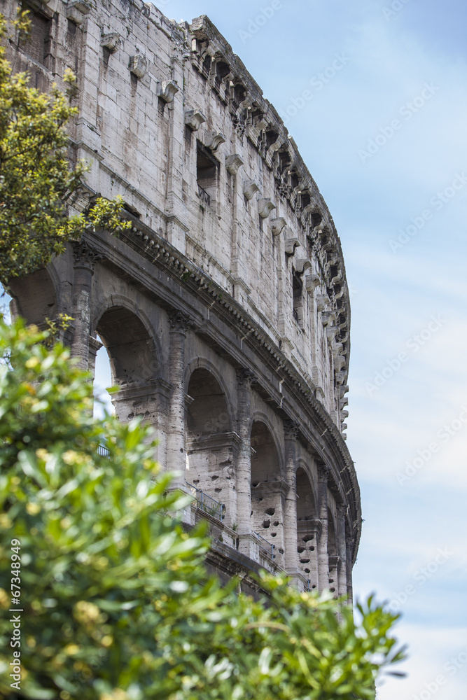 Obraz premium Colosseum Rome