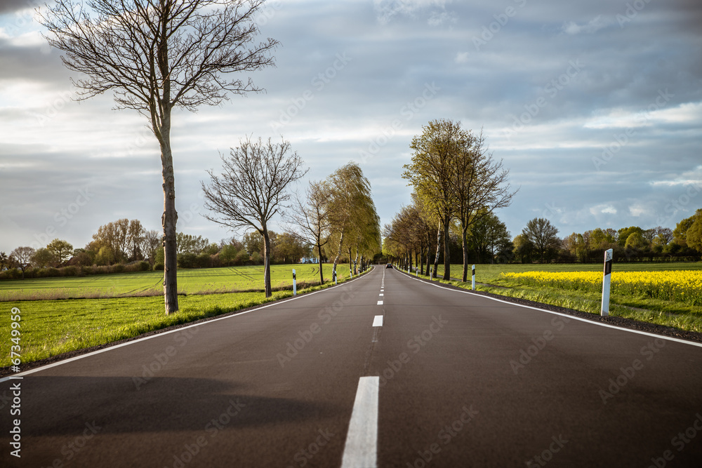 Fototapeta premium field road in Germany