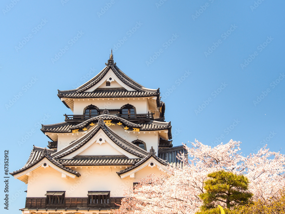 Hikone castle with blue sky in spring season, Hikone, Japan Hikone castle with blue sky in spring season, Hikone, Japan