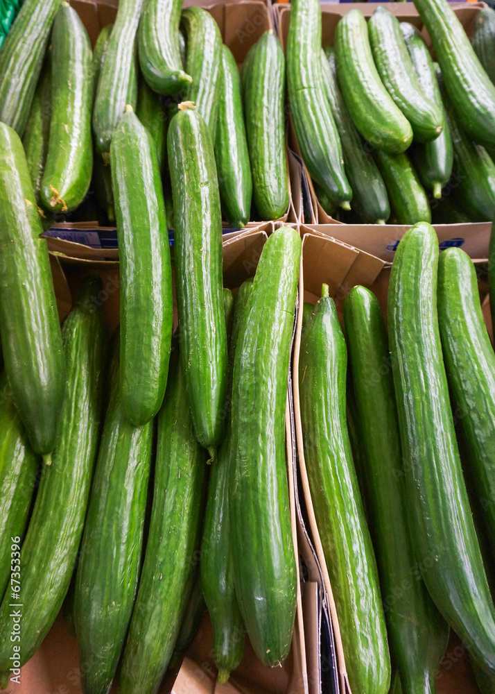 green cucumber.  Cucumbers For Sale At Market