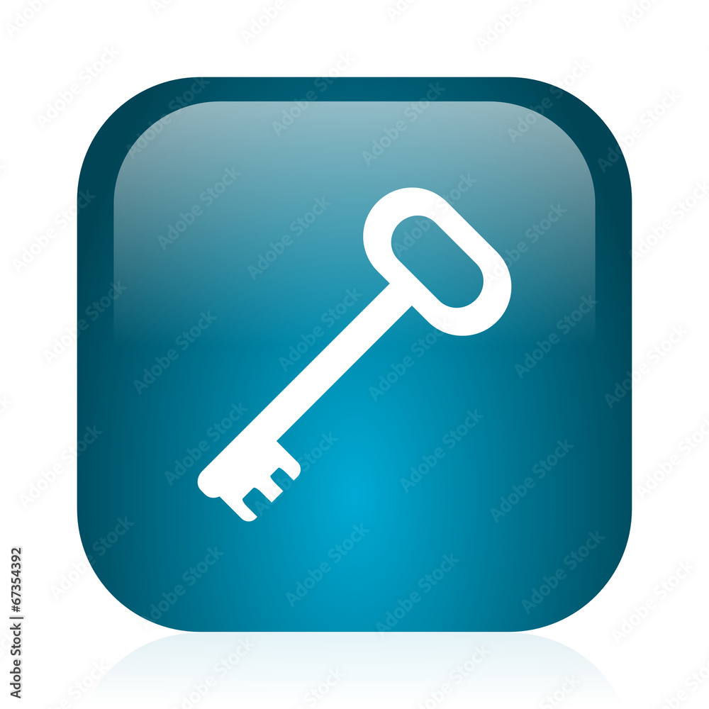 key blue glossy internet icon key blue glossy internet icon