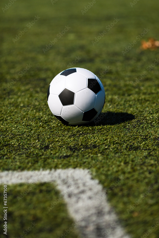 Fototapeta premium Soccer pitch