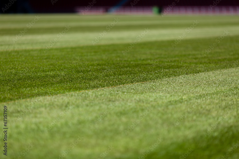 Fototapeta premium Soccer pitch