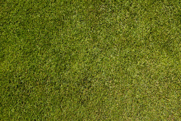 Soccer pitch