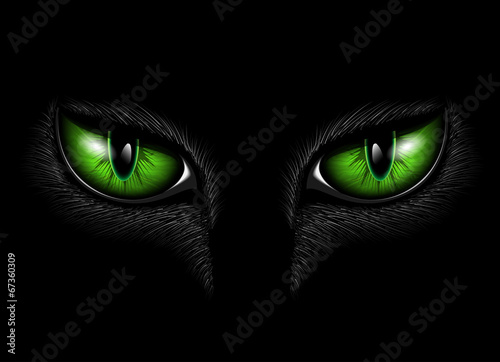 green cat eyes