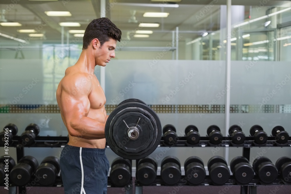 Shirtless muscular man lifting barbell in gym Shirtless muscular man lifting barbell in gym