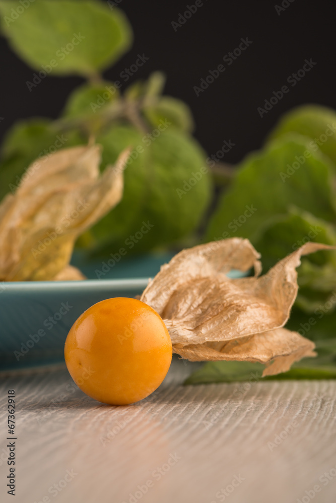 Physalis fruits Physalis fruits
