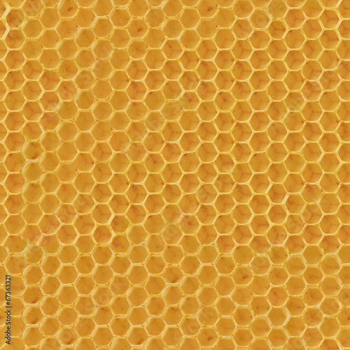 Realistic Seamless Texture of Honeycomb