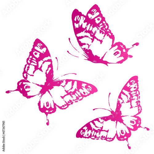 butterflies design