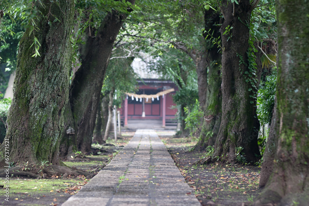 Japanese front approach to a shrine Japanese front approach to a shrine