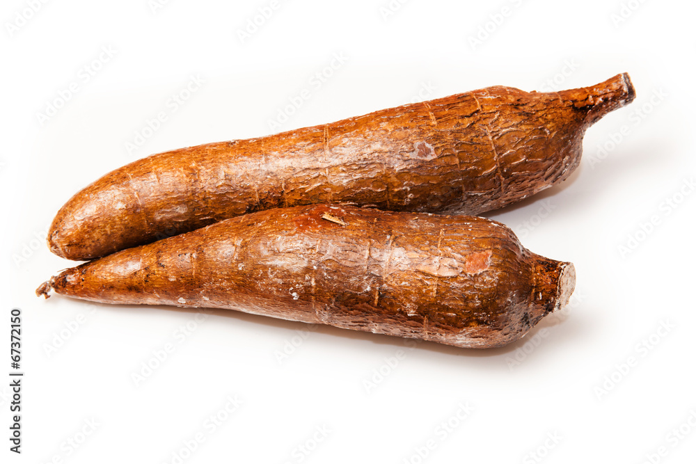Cassava or Manioc roots (Manihot esculenta) Cassava or Manioc roots (Manihot esculenta)