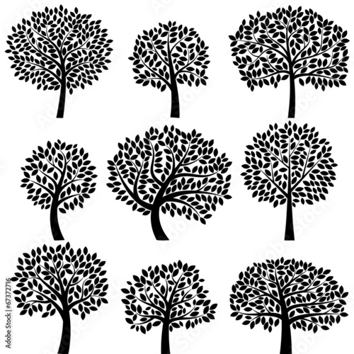 Vector Collection of Tree Silhouettes