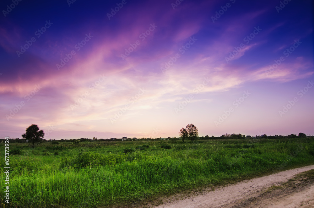 Rural summer sunset