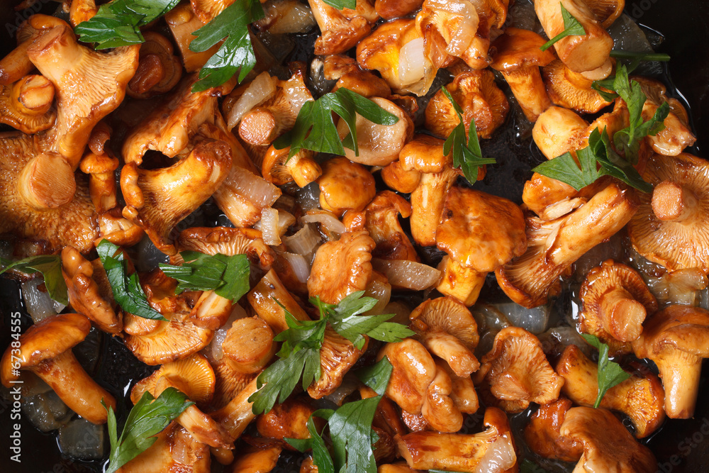 background chanterelle mushrooms in a frying pan macro background chanterelle mushrooms in a frying pan macro
