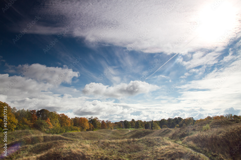 autumn landscape of the Estonian forest