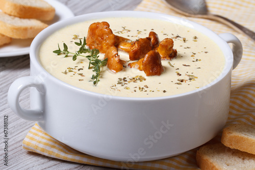 cream soup with mushrooms chanterelles, thyme and croutons