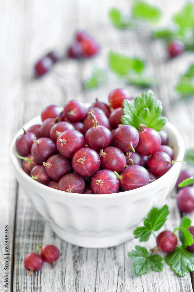 Gooseberry Gooseberry