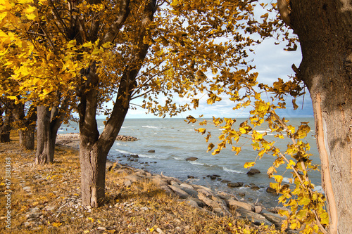 Canvas Print Baltic sea in autumn