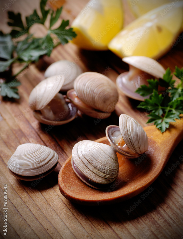 vongole sul cucchiaio di legno con limone e prezzemolo vongole sul cucchiaio di legno con limone e prezzemolo