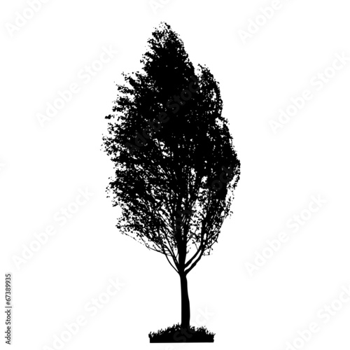 Tree Silhouette Isolated on White Backgorund. Vecrtor Illustrati