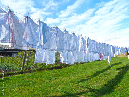 Obraz na płótnie Linge étendu jardin