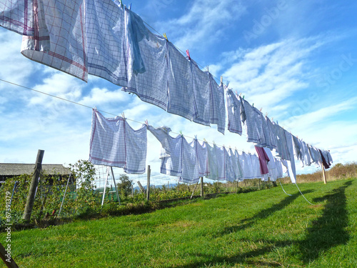 Obraz na płótnie Linge étendu