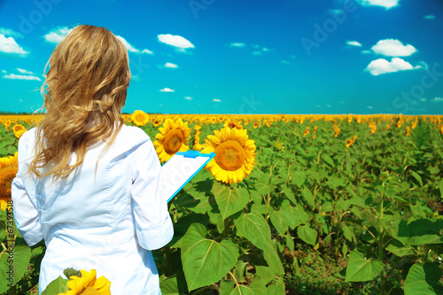 Fototapeta Naklejka Na Ścianę i Meble -  Agronomist with folder in sunflowers field