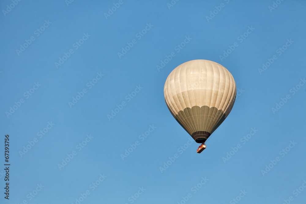 Fototapeta premium Hot Air Balloon