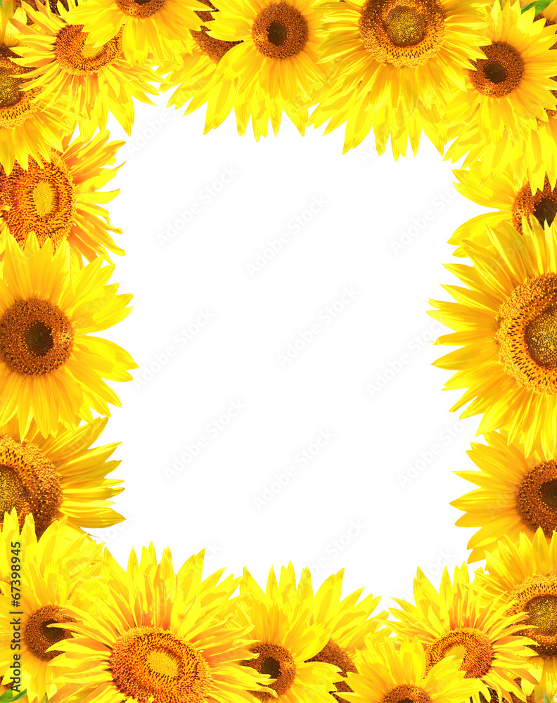 Border with sunflowers Border with sunflowers