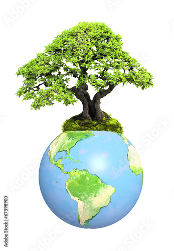 Earth and tree
